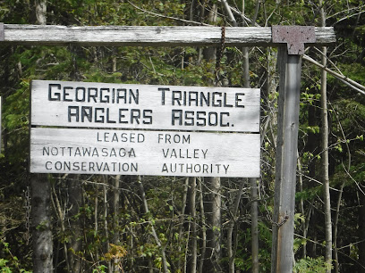 Georgian Triangle Anglers Association