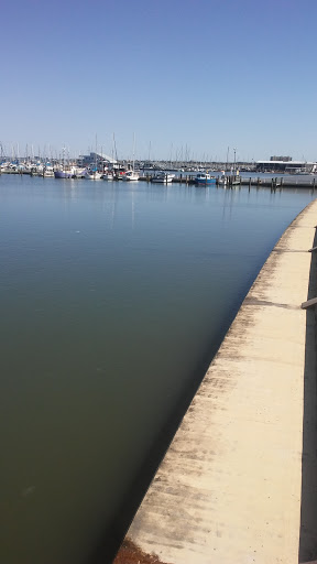 Monument «Selena Memorial Statue», reviews and photos, 600 N Shoreline Blvd, Corpus Christi, TX 78401, USA