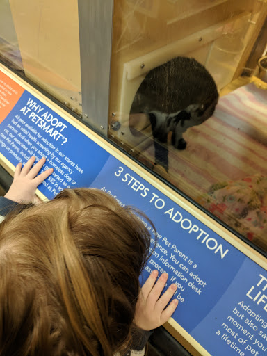 Pet Supply Store «PetSmart», reviews and photos, 100 108th Ave NE, Bellevue, WA 98004, USA