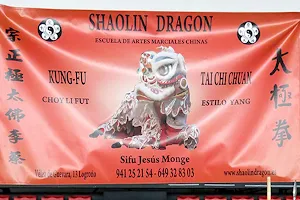 Shaolin Dragon image