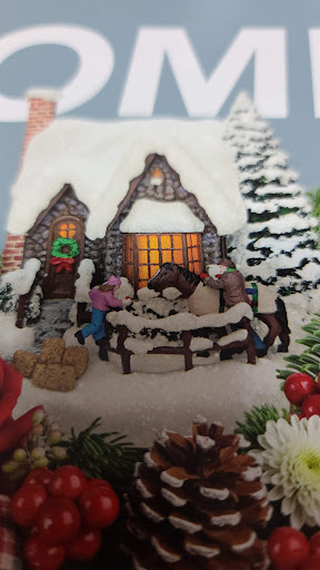 Florist «Shananne Cain Florist Inc», reviews and photos, 123 N Central Ave, Umatilla, FL 32784, USA