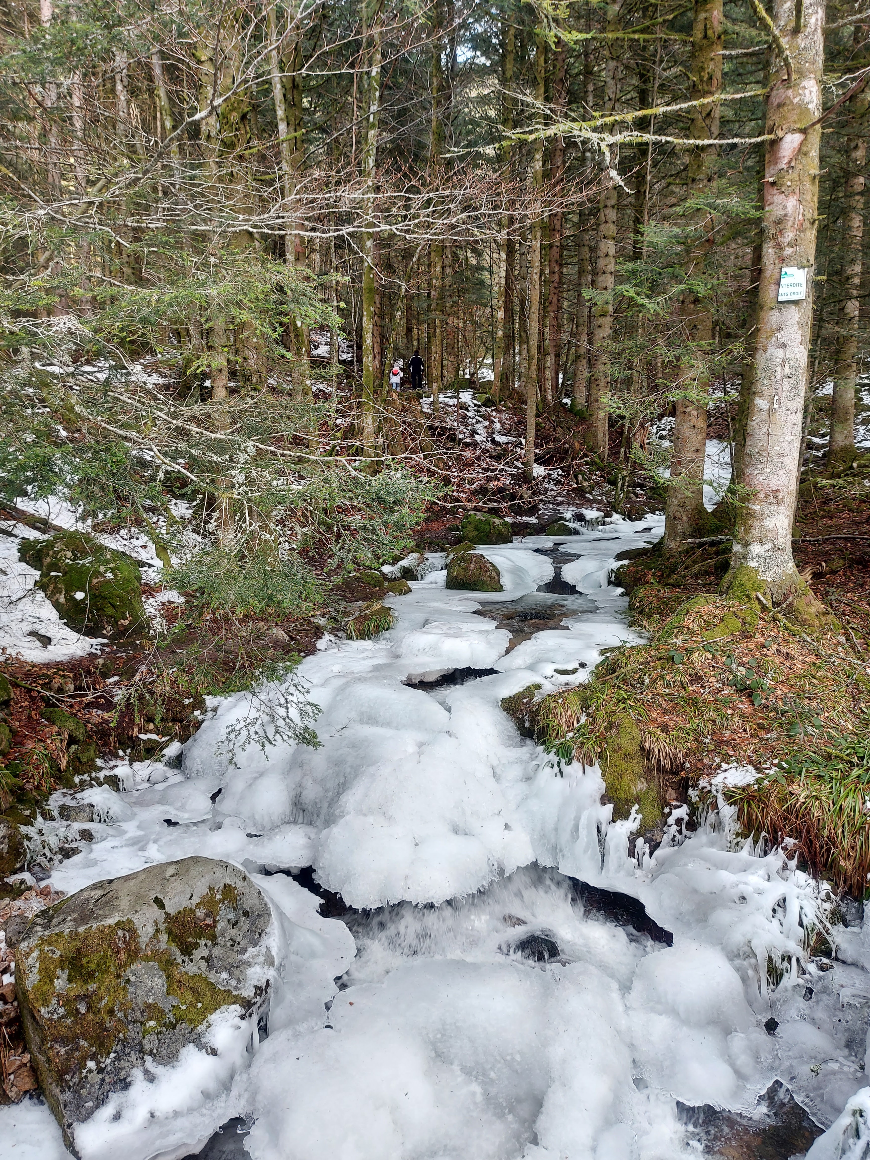 Photo n° 3 de l'avis de Gabio. fait le 17/02/2021 à 18:12