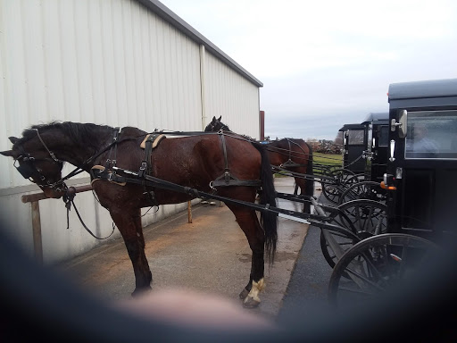 Gift Shop «Country Housewares Store», reviews and photos, 589 Musser School Rd, Leola, PA 17540, USA