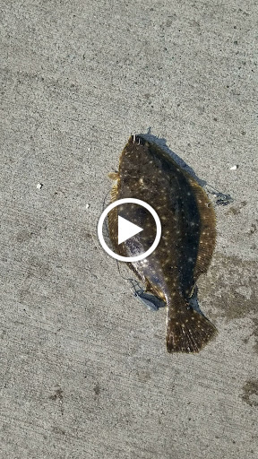 Park «Lemon Creek Park», reviews and photos, Hylan Blvd, Staten Island, NY 10309, USA