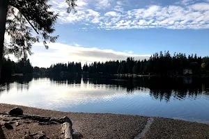 Pine Lake image