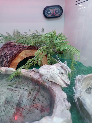 Pet Supply Store «Pet Supplies Plus», reviews and photos, 2927 Riley Fuzzel Rd #400, Spring, TX 77386, USA