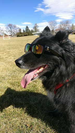 Park «Cranmer Park», reviews and photos, 4501 E 1st Ave, Denver, CO 80220, USA