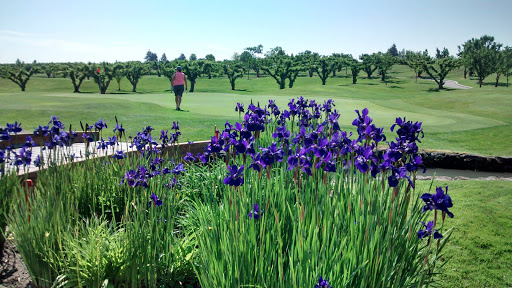 Golf Course «Apple Tree Golf Course», reviews and photos, 8804 Occidental Rd, Yakima, WA 98903, USA