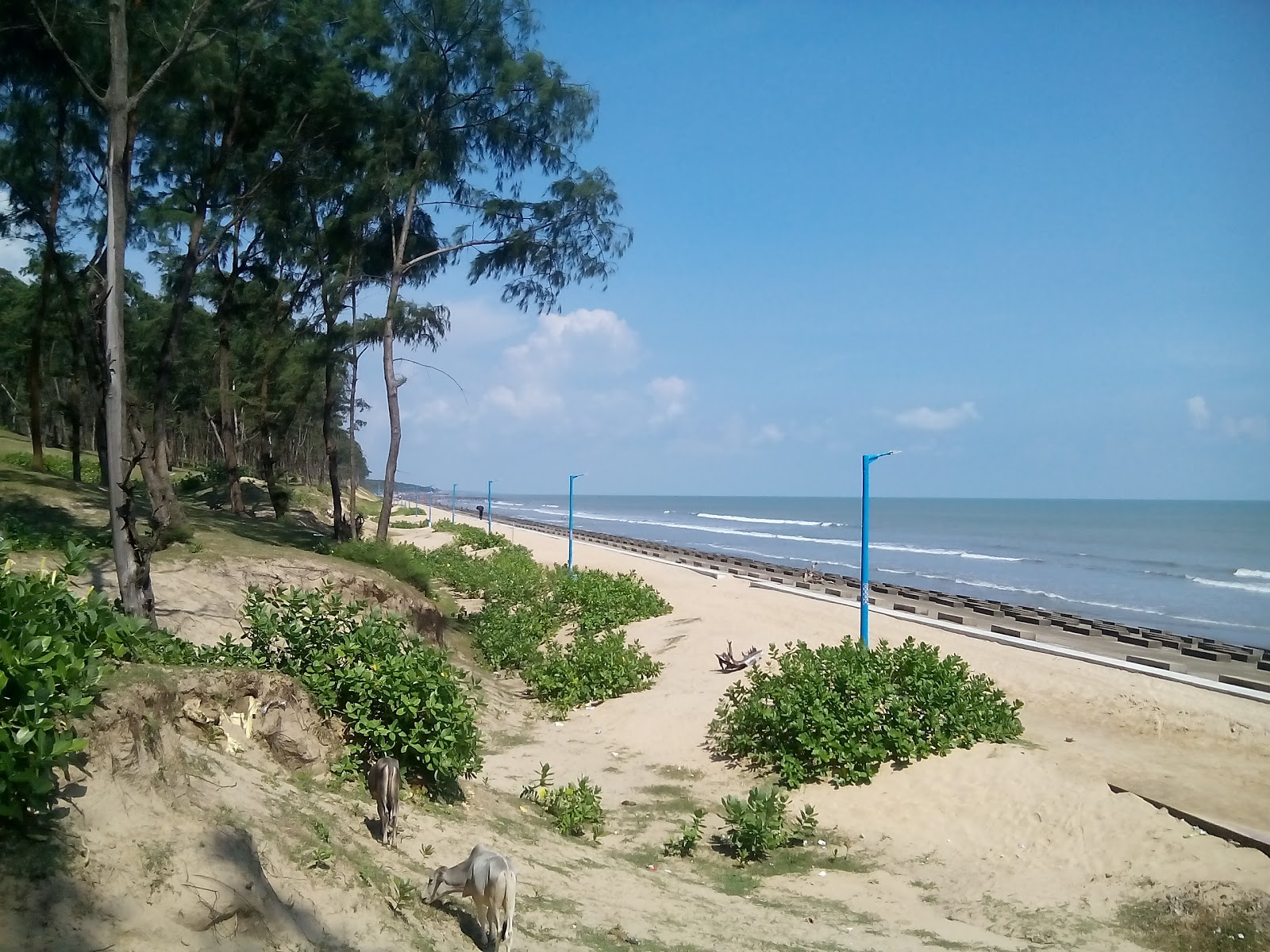 Fotografie cu Udaypur Sea Beach New zonele de facilități