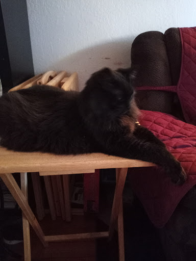 Pet Supply Store «Pet Food Express», reviews and photos, 500 Center Ave, Martinez, CA 94553, USA