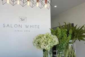 Salon White image