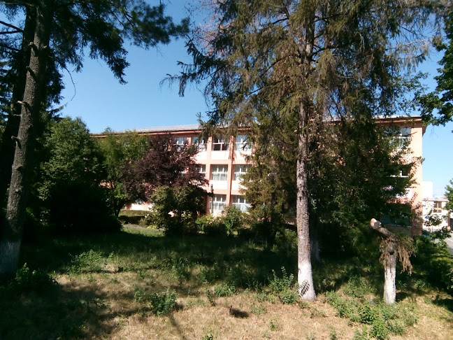 Școala Gimnazială Nicolae Simonide