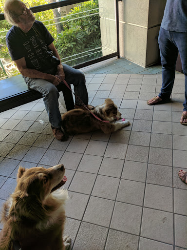 Pet Store «PetSmart», reviews and photos, 17150 Ventura Blvd, Encino, CA 91316, USA