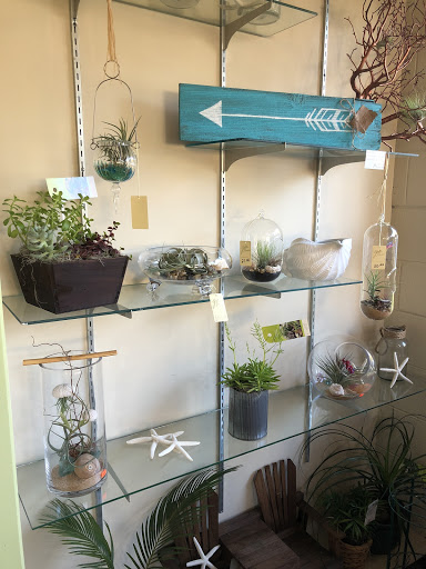 Florist «Grohe Florists», reviews and photos, 1313 McDonald Ave, Santa Rosa, CA 95404, USA