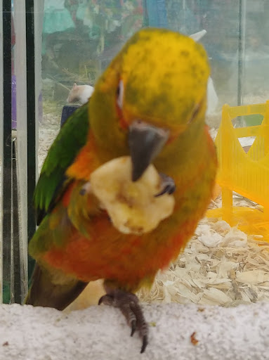 Pet Supply Store «Our Pet World», reviews and photos, 380 Semoran Commerce Pl, Apopka, FL 32703, USA