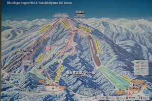 Okushiga Kogen Ski Resort image