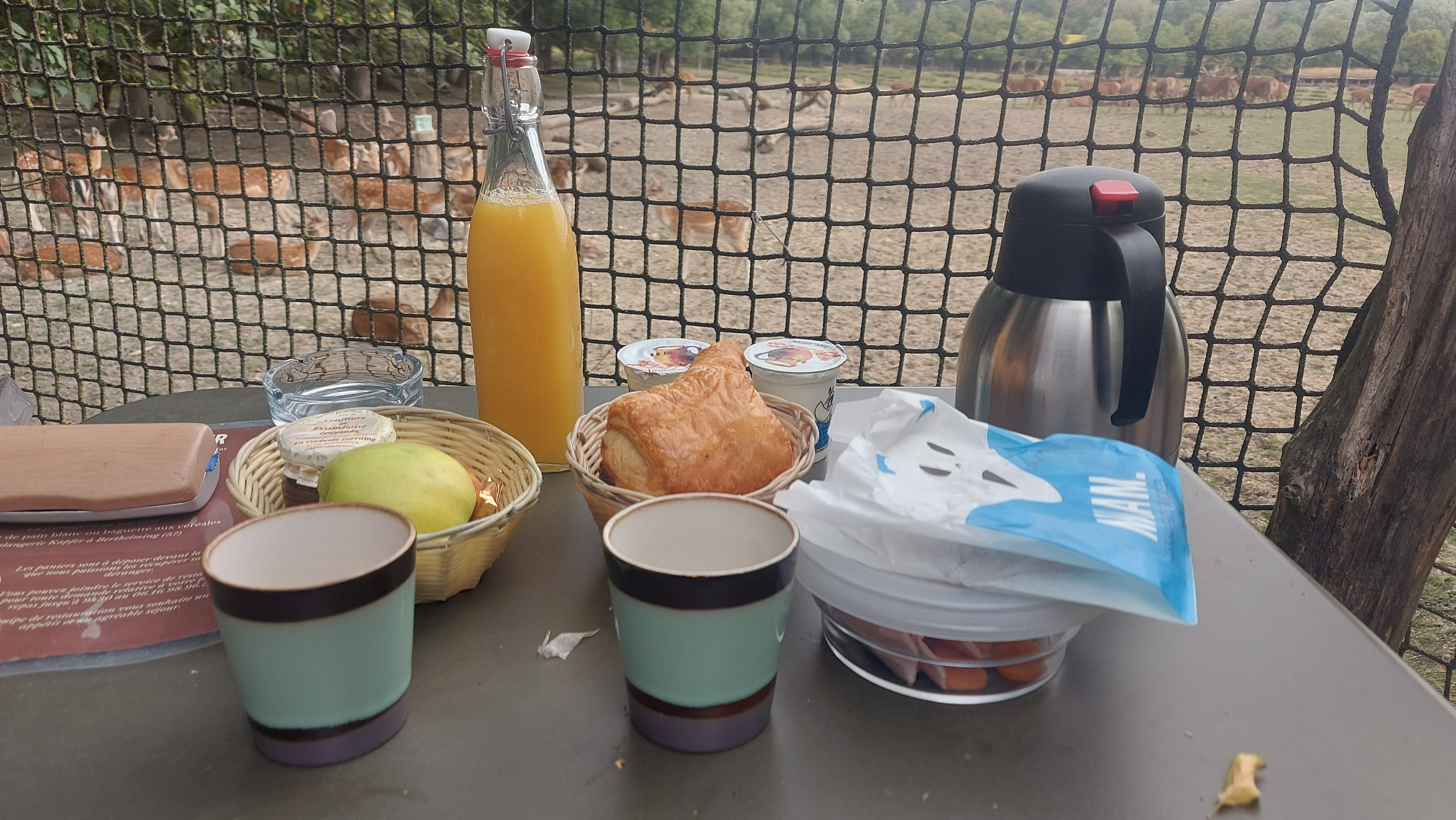 Photo n° 8 de l'avis de BirdOdyssey.7 fait le 19/08/2023 à 07:10