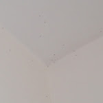 Photo n°2 de l'avis de Emanuele.a fait le 13/03/2017 à 21:36 sur le  Albergo Ristorante Casa Rossa 1888 à Torre del Greco