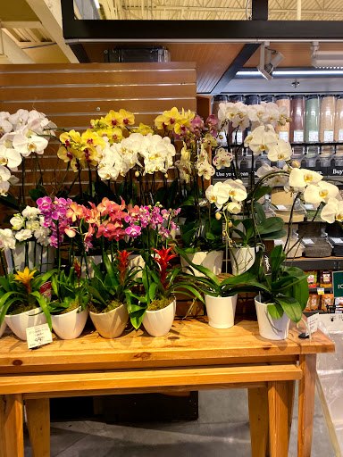 Grocery Store «Whole Foods Market», reviews and photos, 12601 Hill Country Blvd, Bee Cave, TX 78738, USA