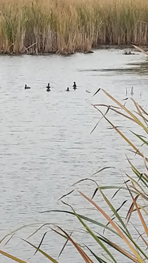 Nature Preserve «Tifft Nature Preserve», reviews and photos, 1200 Fuhrmann Boulevard, Buffalo, NY 14203, USA