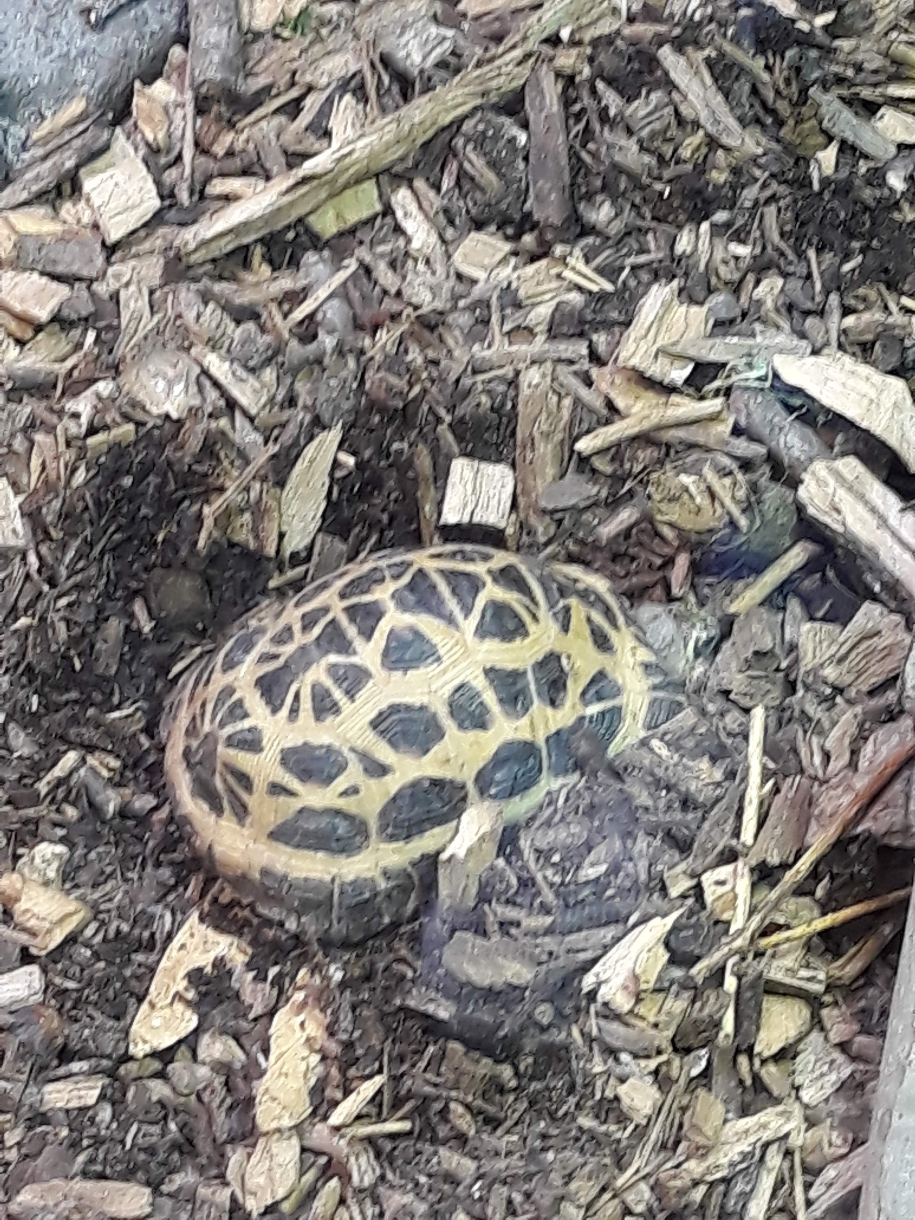 Photo n° 7 de l'avis de Ludo.a fait le 30/08/2021 à 17:15