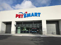 PetSmart - Photo 7 - Car repair in Charleston, SC, Charleston