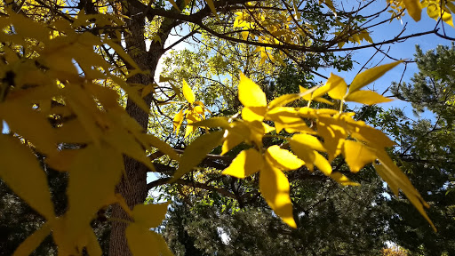 Park «Silo Park», reviews and photos, 9300 E Orchard Rd, Greenwood Village, CO 80111, USA