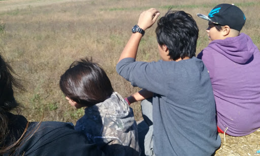 Tourist Attraction «Shipshewana Corn Maze», reviews and photos, 505 Morton St, Shipshewana, IN 46565, USA