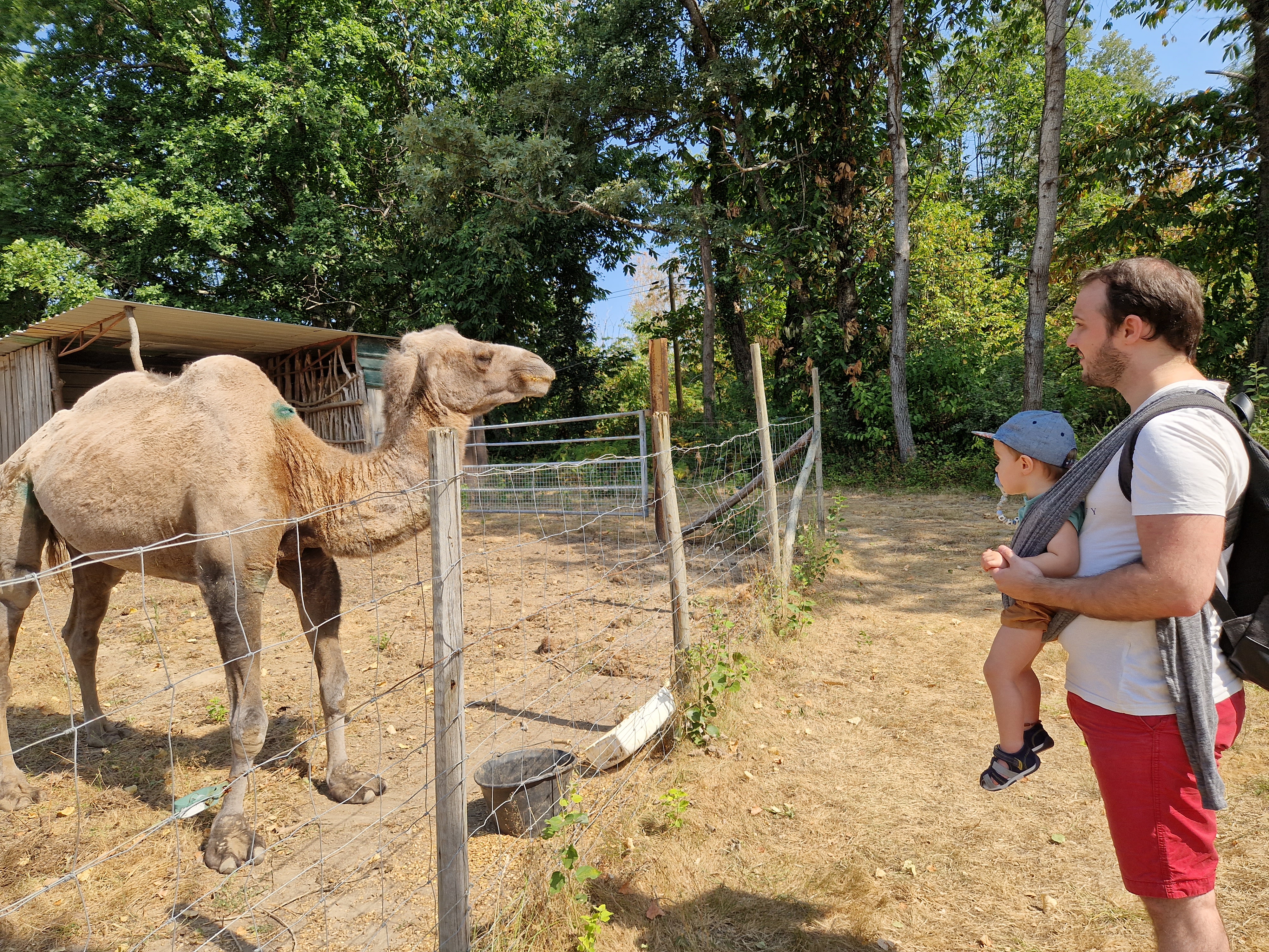 Photo n° 2 de l'avis de Melanie.e fait le 22/08/2022 à 15:24