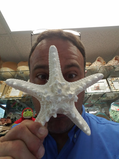 Gift Shop «She Sells Sea Shells», reviews and photos, 1157 Periwinkle Way, Sanibel, FL 33957, USA