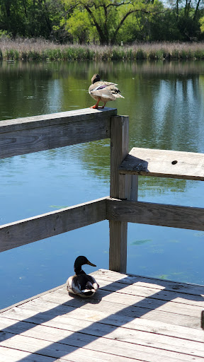 Nature Preserve «Westwood Hills Nature Center», reviews and photos, 8300 W Franklin Ave, St Louis Park, MN 55426, USA
