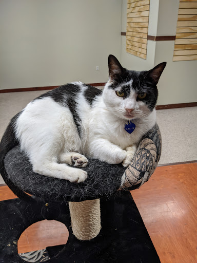 Pet Store «Hearty Pet Retail Store», reviews and photos, 19918 Jefferson Blvd, Hagerstown, MD 21740, USA