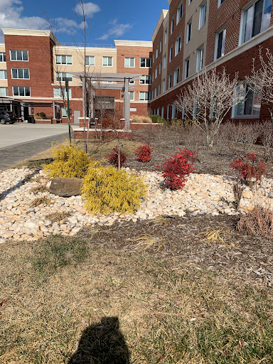 Grocery Store «Safeway», reviews and photos, 3713 Lee Hwy, Arlington, VA 22207, USA