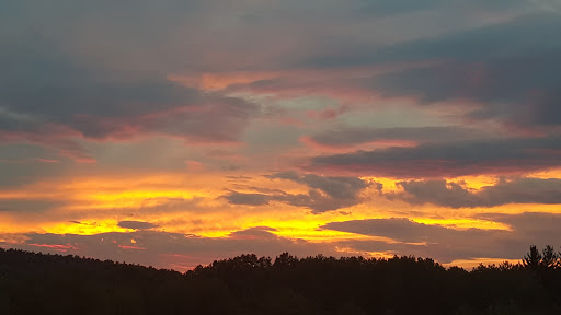 Grocery Store «Market Basket», reviews and photos, 301 Constitution Ave, Littleton, MA 01460, USA