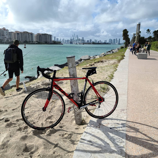 Bicycle Store «Andante Bicycle Shop», reviews and photos, 20277 Old Cutler Rd, Cutler Bay, FL 33189, USA