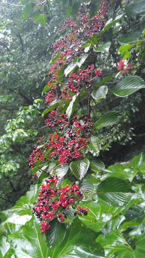 Gift Shop «Stonehedge Gardens», reviews and photos, 51 Dairy Rd, Tamaqua, PA 18252, USA