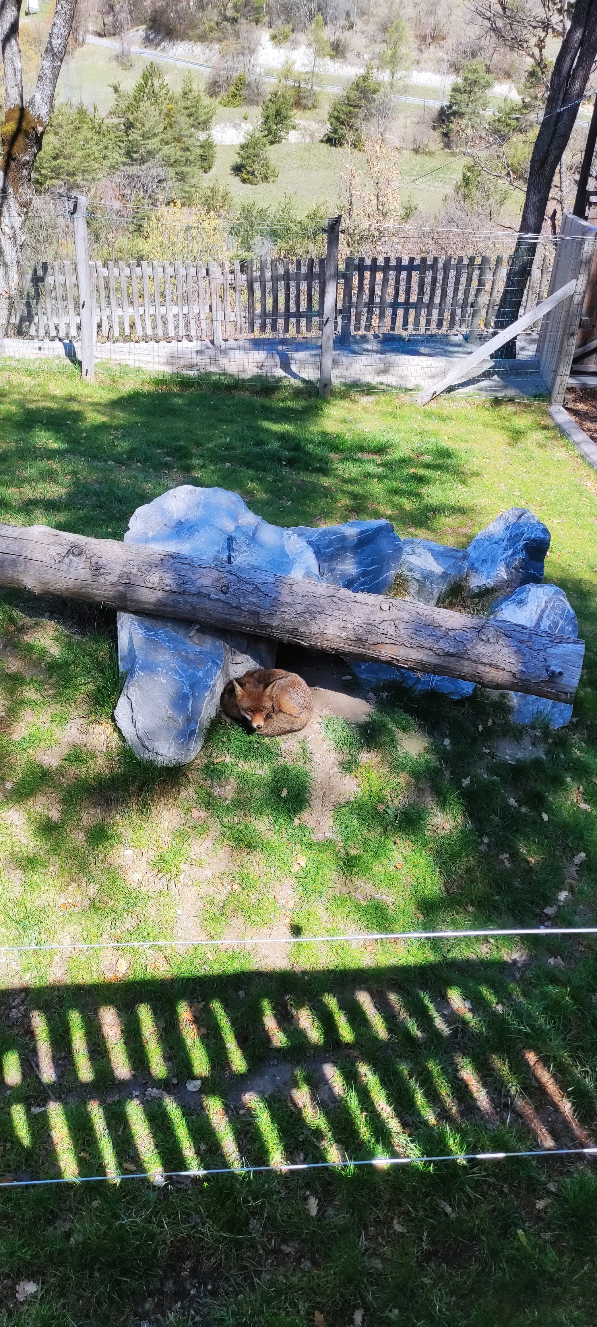 Photo n° 25 de l'avis de Alexia.a fait le 20/04/2023 à 07:36