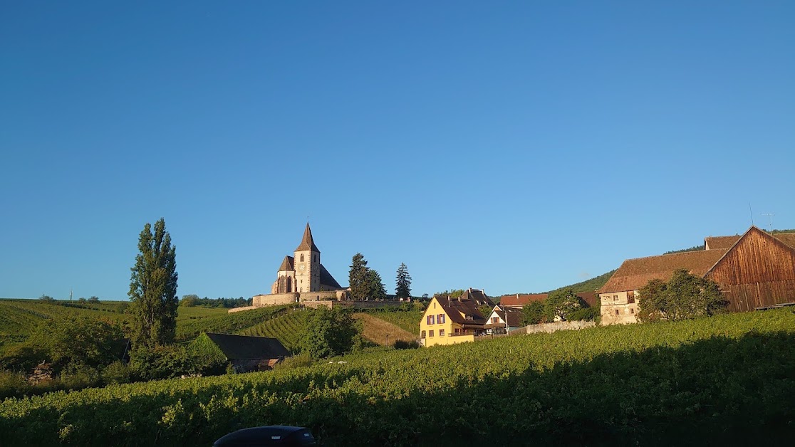 Gite Chez Marthe à Hunawihr (Haut-Rhin 68)