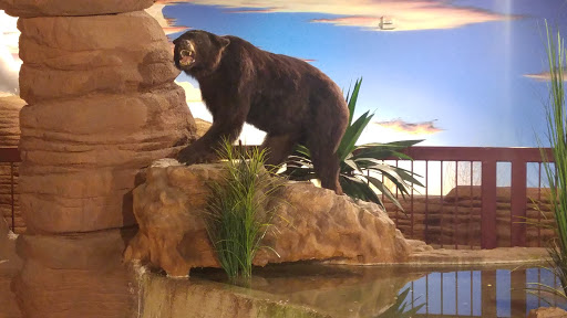 Tourist Attraction «Arizona Museum of Natural History», reviews and photos, 53 N Macdonald, Mesa, AZ 85201, USA