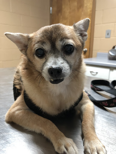 190 Buford Dr NE, Lawrenceville, GA 30046, USA