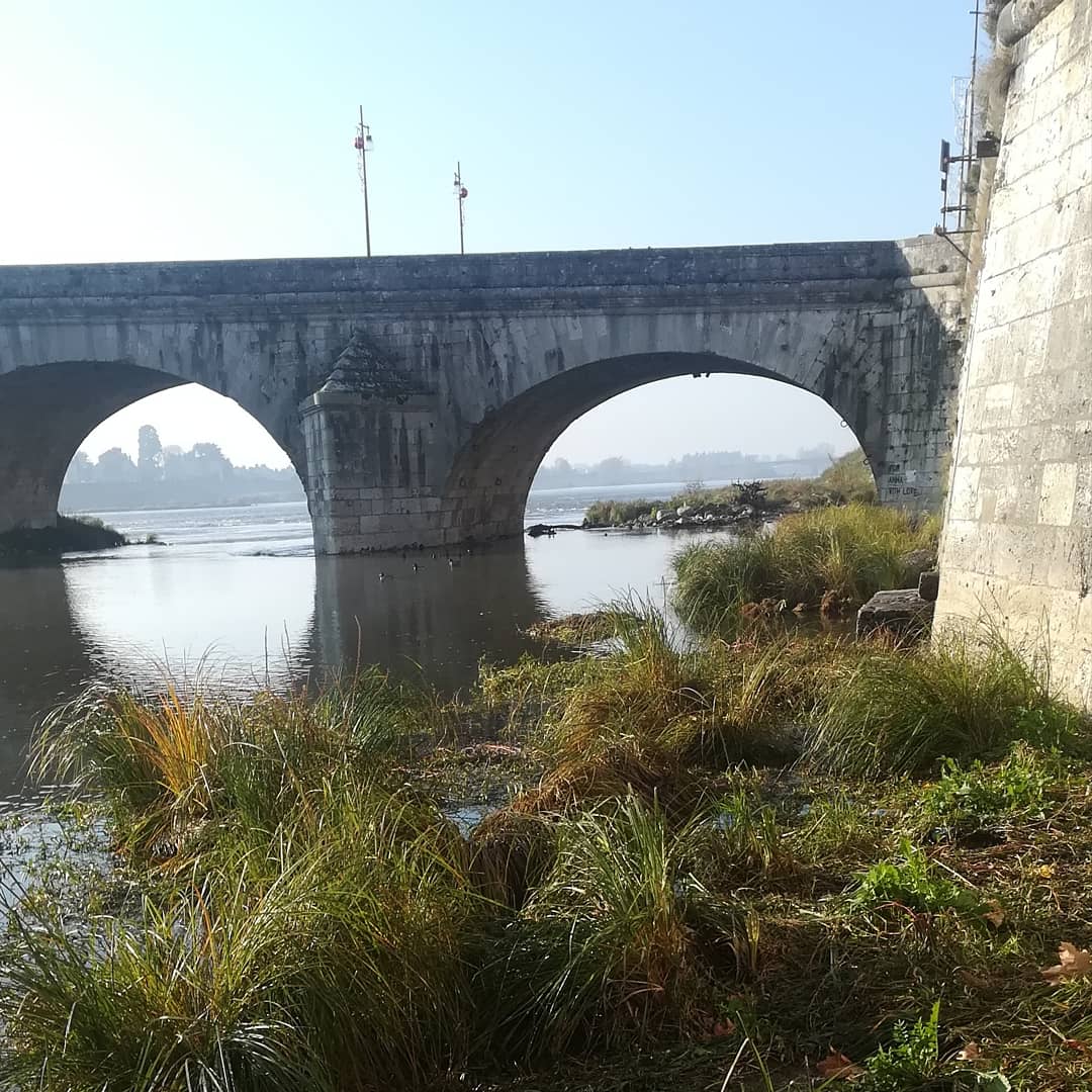 Photo n° 5 de l'avis de Ysabel. fait le 15/12/2018 à 09:23