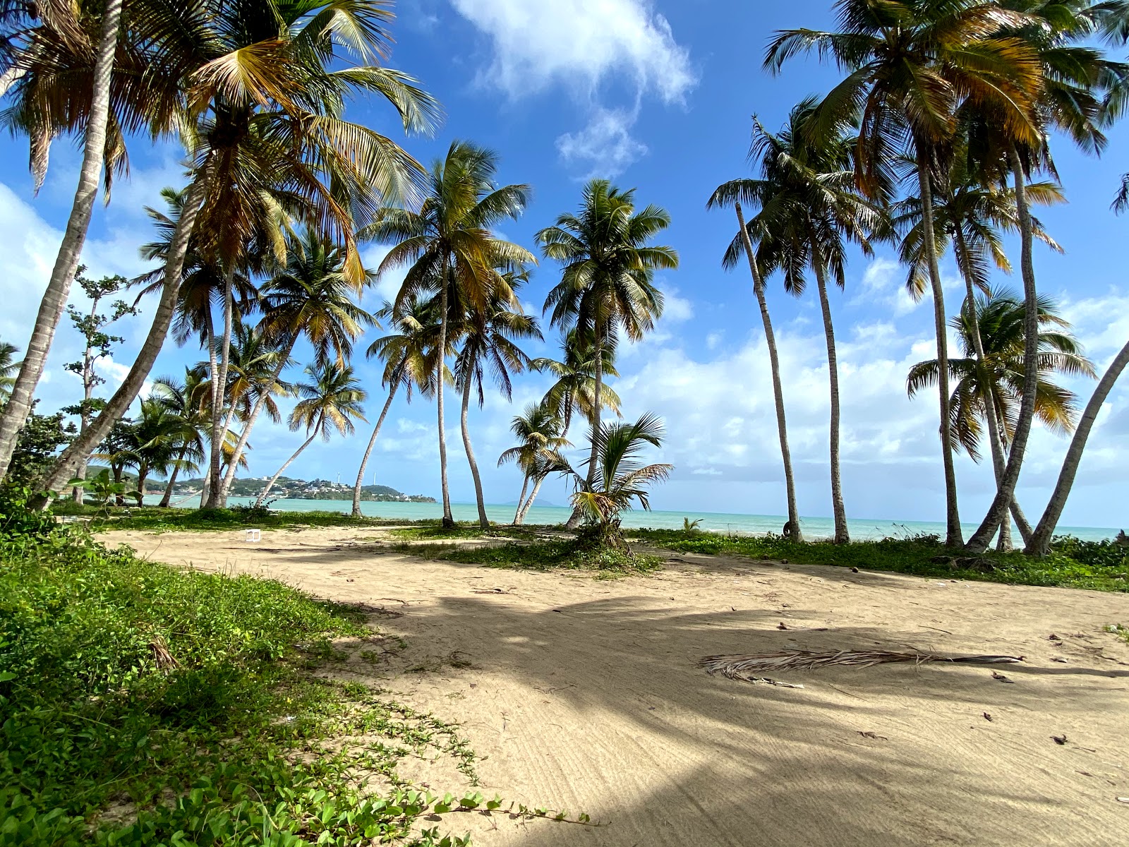 Photo of Playa Punta Santiago Punta with partly clean level of cleanliness