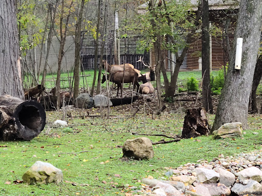 Zoo «Potter Park Zoo», reviews and photos, 1301 S Pennsylvania Ave, Lansing, MI 48912, USA