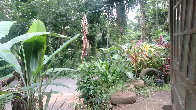 Totombe Garden's Of Poluan Arikalang