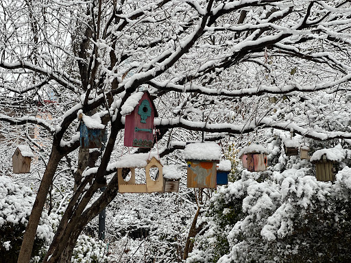 Park «Van Vorst Park», reviews and photos, 257-287 Montgomery St, Jersey City, NJ 07302, USA