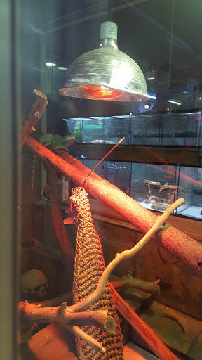 Pet Store «A to Z Pets», reviews and photos, 16010 SE Division St, Portland, OR 97236, USA