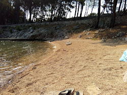 Drazica beach'in fotoğrafı ve yerleşim