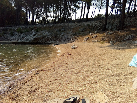 Drazica beach