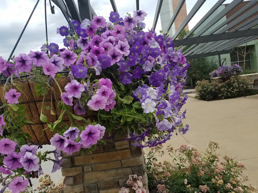 Movie Theater «Megaplex Theatres at Legacy Crossing», reviews and photos, 1075 Legacy Crossing Boulevard, Centerville, UT 84014, USA