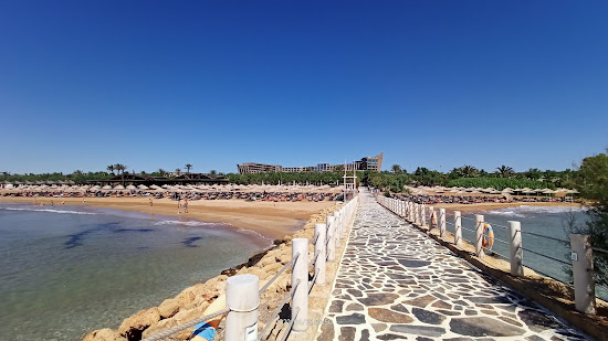 Noah's Ark Beach